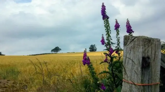 Claverley, Shropshire today