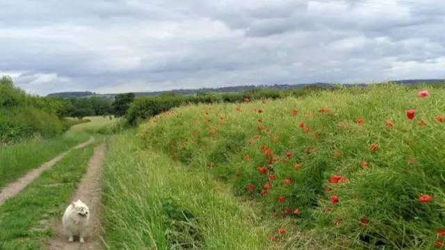 Coleshill, Warwickshire, this morning