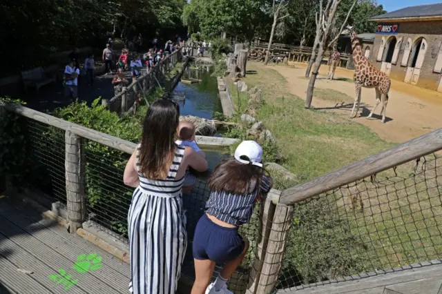 Families gathered around London Zoo's giraffe enclosure, which included a sign paying tribute to NHS workers