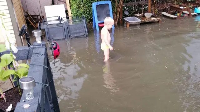 Flooded garden