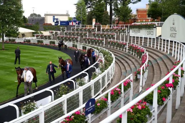 Parade ring