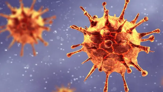 Coronavirus