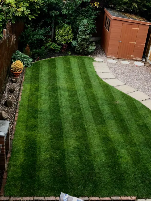 Lawn