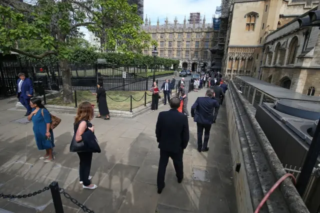 MPs queue up outside the Houses of Parliament to vote in the Commons