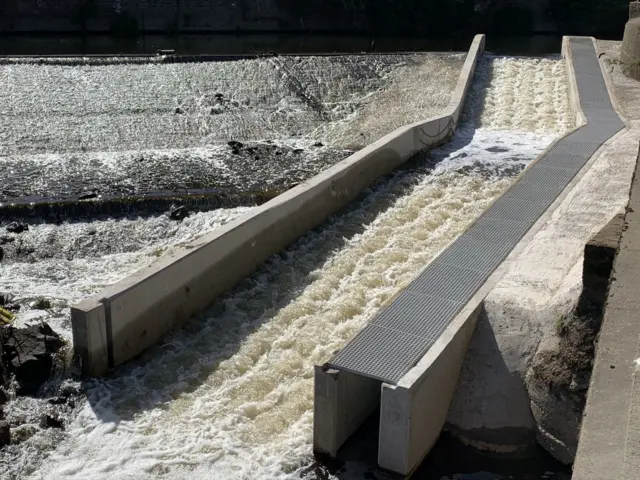 Fish pass