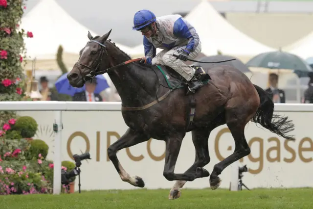 The Grand Visir at last year's Royal Ascot