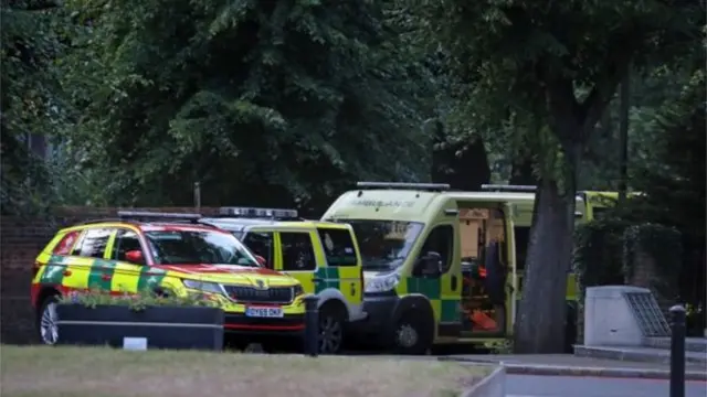 Ambulances attend Forbury Gardens in Reading on 20 June