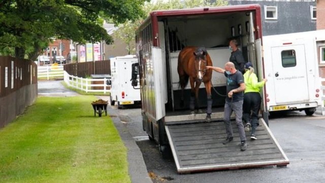 Horsebox