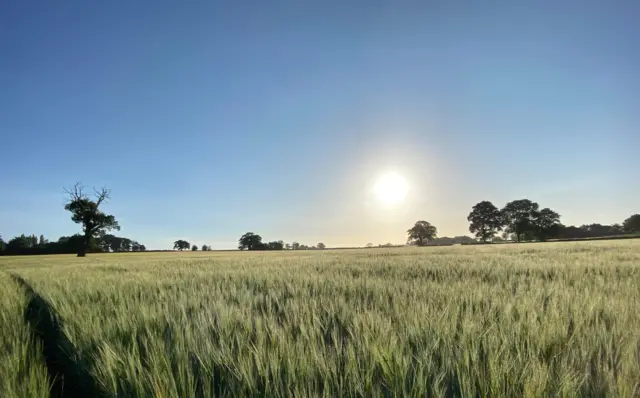 Church Broughton sunrise