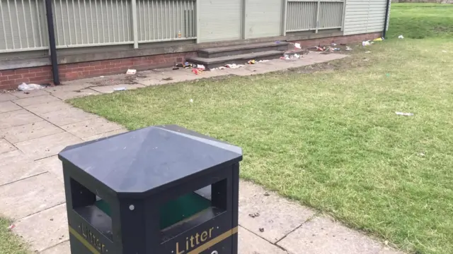 Litter near a bin