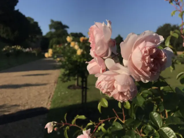 Garden at Rockingham Castle