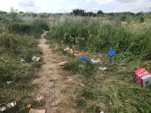 Litter at Two Tree Island