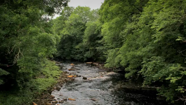 The River Swale