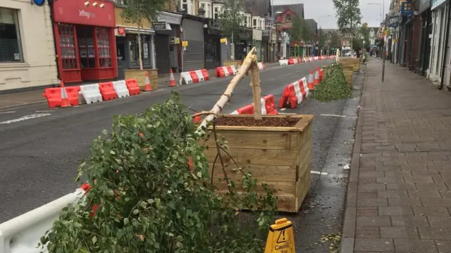 Wellfield Road trees