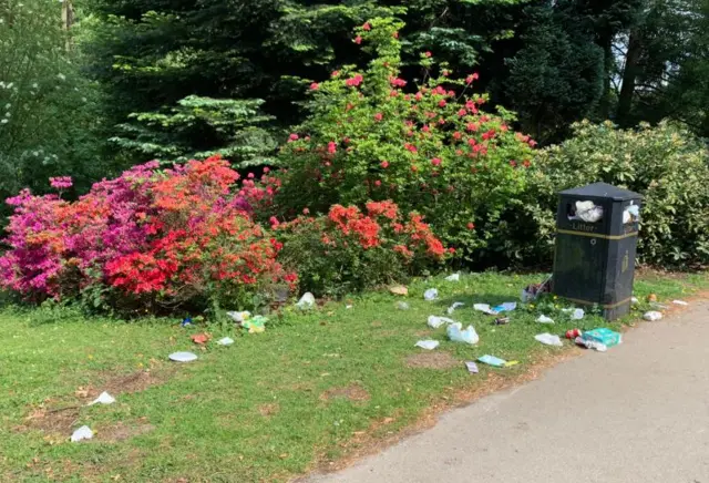 Litter in Sheffield