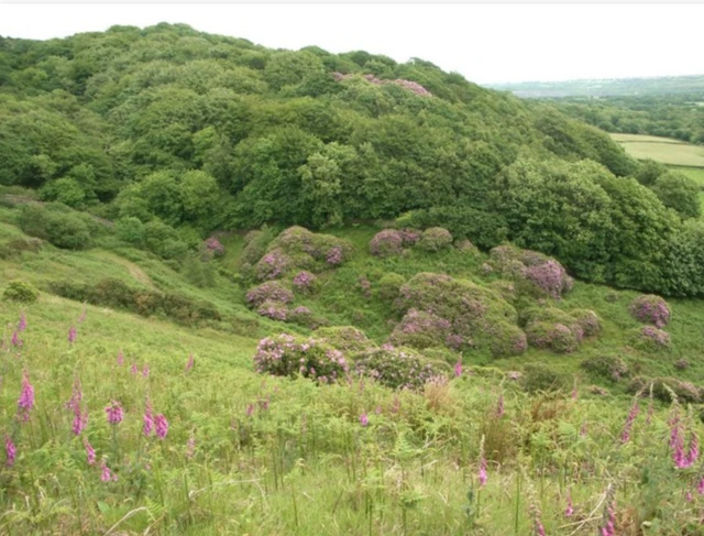 Margam Country Park