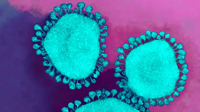 Coronavirus