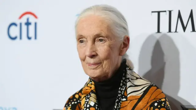 Jane Goodall