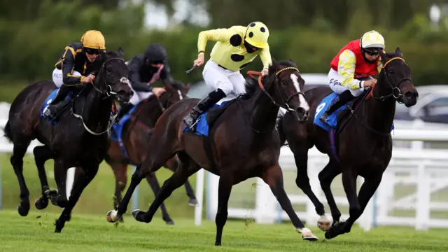 Horse racing in Leicester