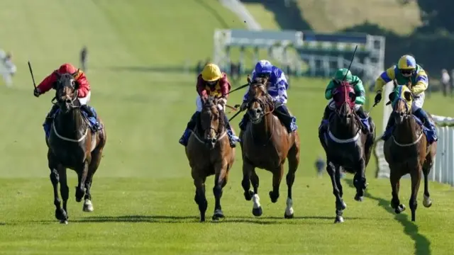 Horse racing in Leicester