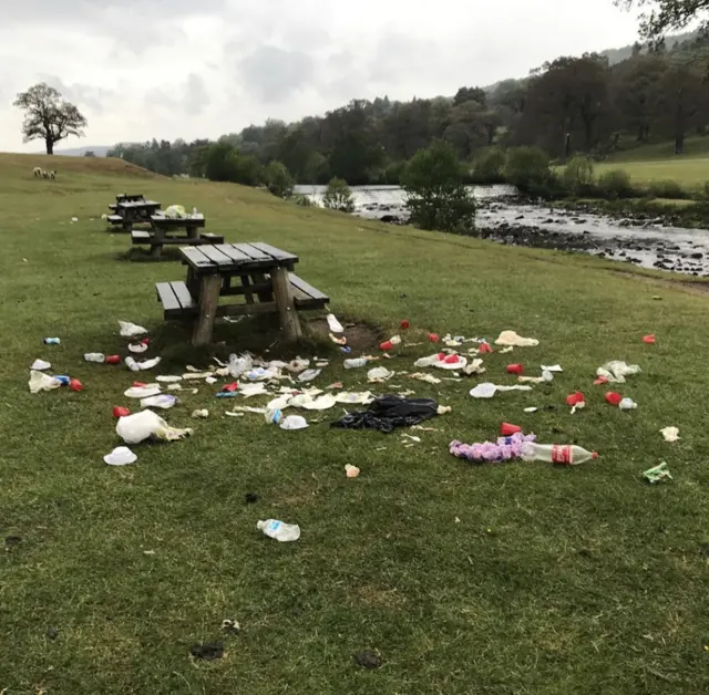 Chatsworth litter