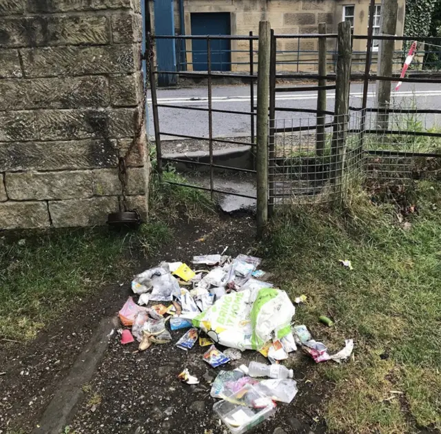 Chatsworth litter