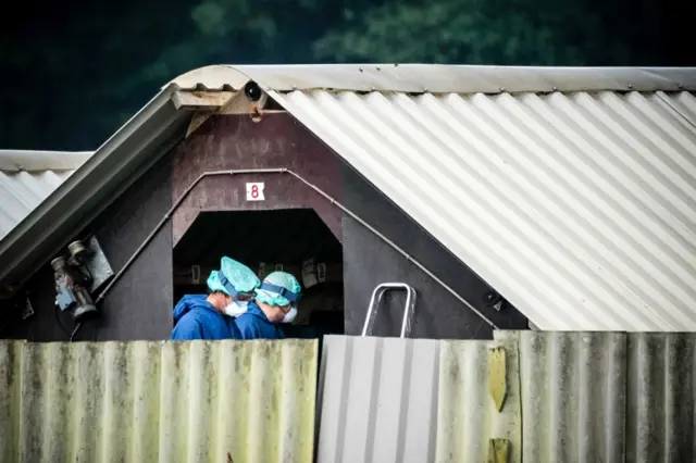 Mink farm