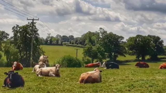 Bromyard, Herefordshire