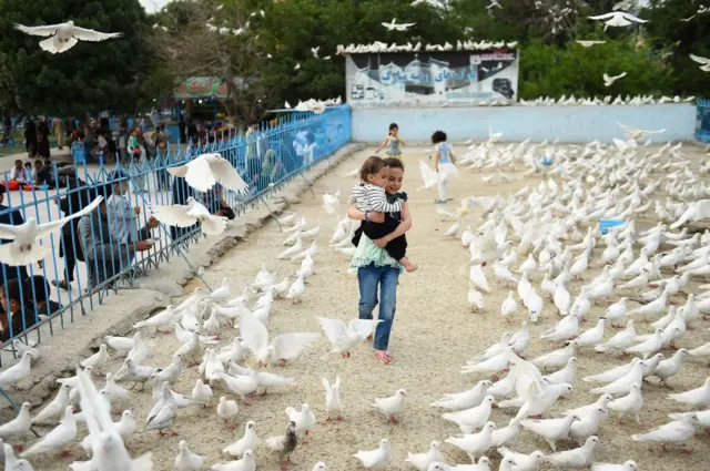 Children play with doves at mosque in Mazar-e-Sharif. April 2019