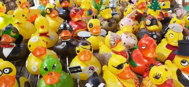 rubber ducks