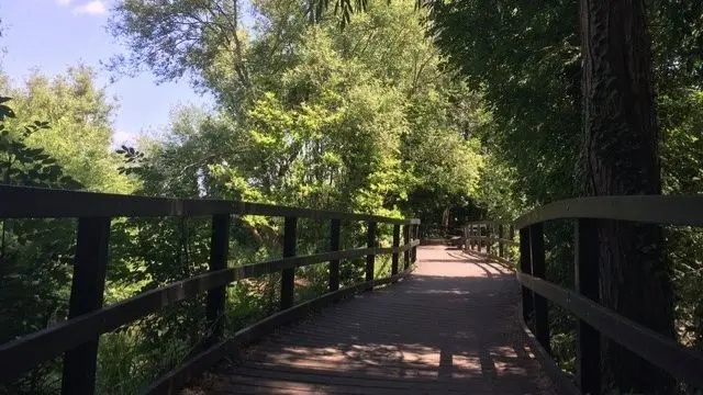 A boardwalk at the site