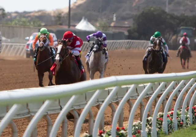 File photo of horse racing