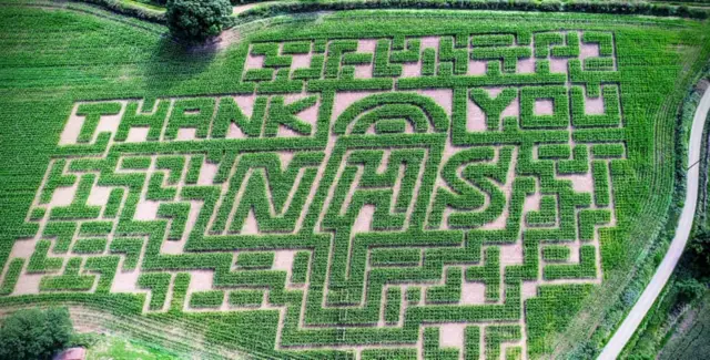 The maze