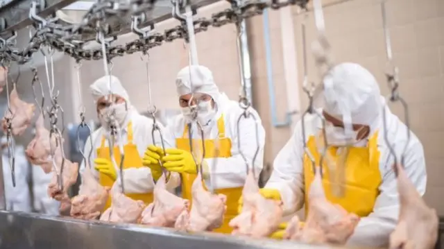 Workers in a meat processing plant