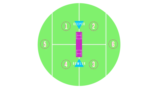 3TeamCricket fielding positions