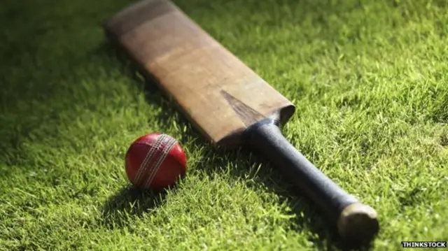 Cricket bat and ball