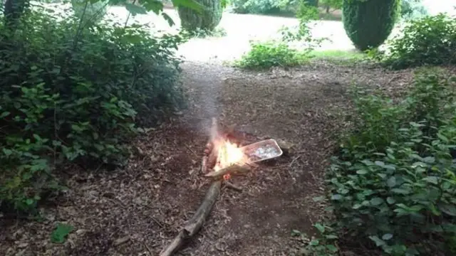 Fire at Elvaston Country Park