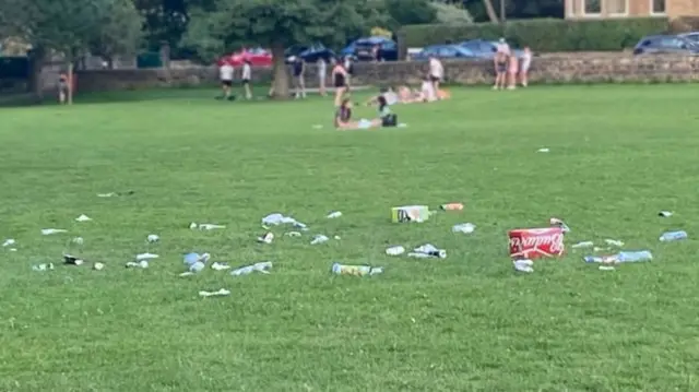 Litter, Harrogate Stray
