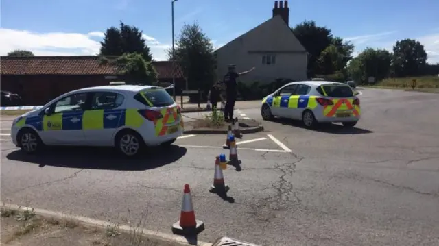 Roydon shooting scene