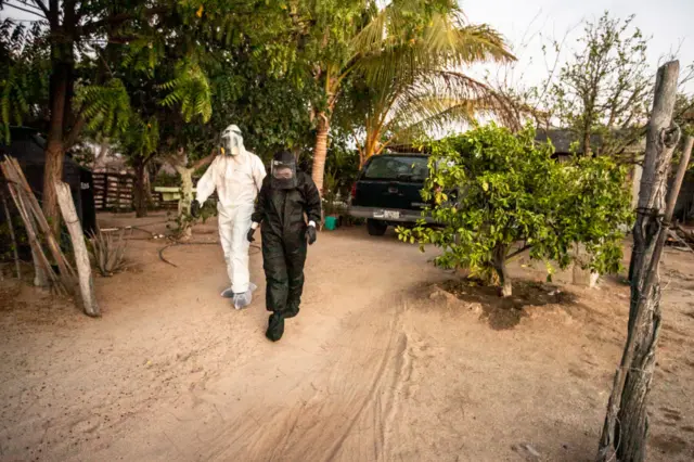 Workers in PPE deliver food to a struggling family in La Paz, Mexico