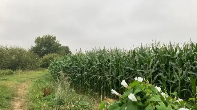 This morning in Upton upon Severn, Worcestershire