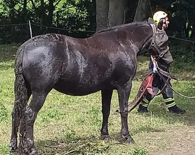 Tilly covered in slime and mud