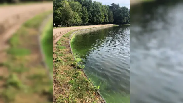 Wollaton lake