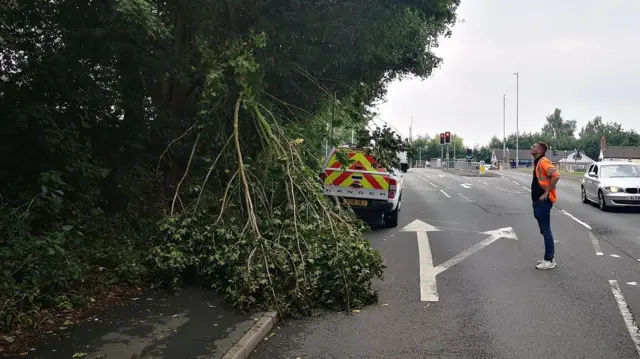 Branch being cut down