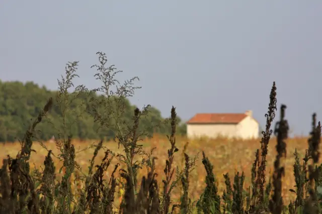 france landscape