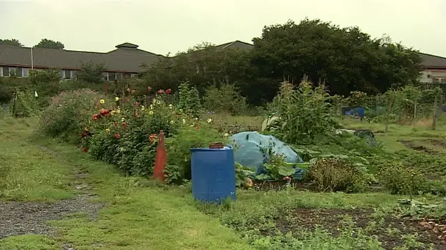 An allotment