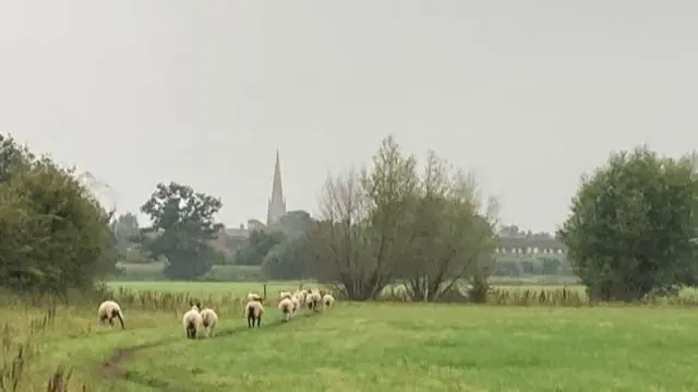 This morning in Upton upon Severn, Worcestershire