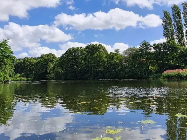 Sky reflections in a lake in Himley, Staffordshire