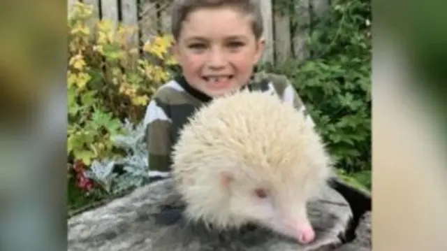 Ruben and hedgehog