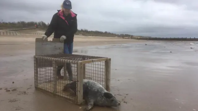 Seal being released